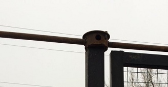 Фото Полный контроль над своей АЗС №3