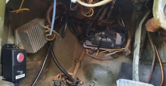 Фото Упрямая Шишига №1